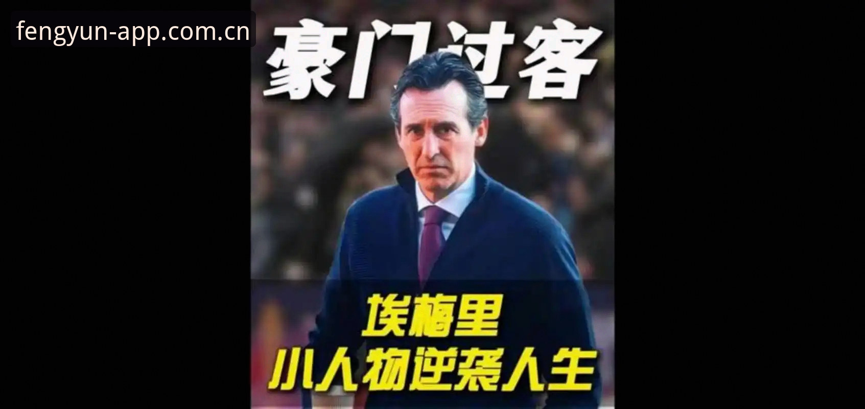 深度揭秘“欧联杯之王”埃梅里：五冠传奇背后的战术密码与维拉复兴真相